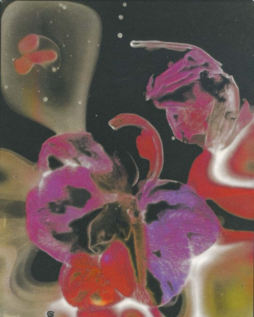 double-torque-norman-galinsky-chroma-fine-art-gallery
