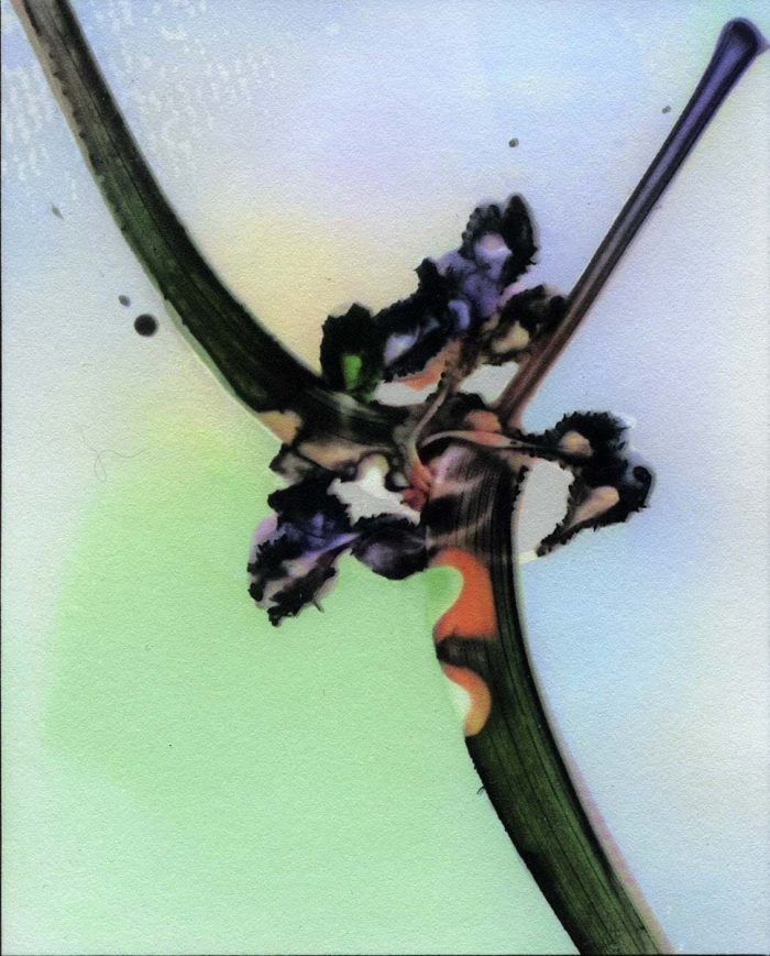 Bruce Dunbar Untitled(Flower16)