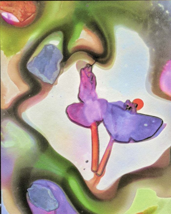 Bruce Dunbar Untitled(Flower65)