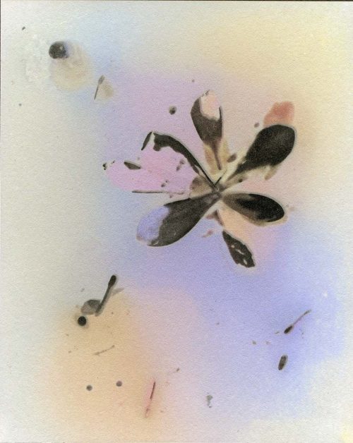 Bruce Dunbar Untitled(Flower90)