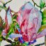 pratibha_garewal_dainty_magnolia