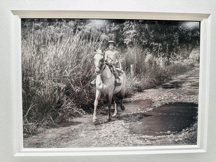 Rita_Baunok_LaEsperanza_16_Aluminum