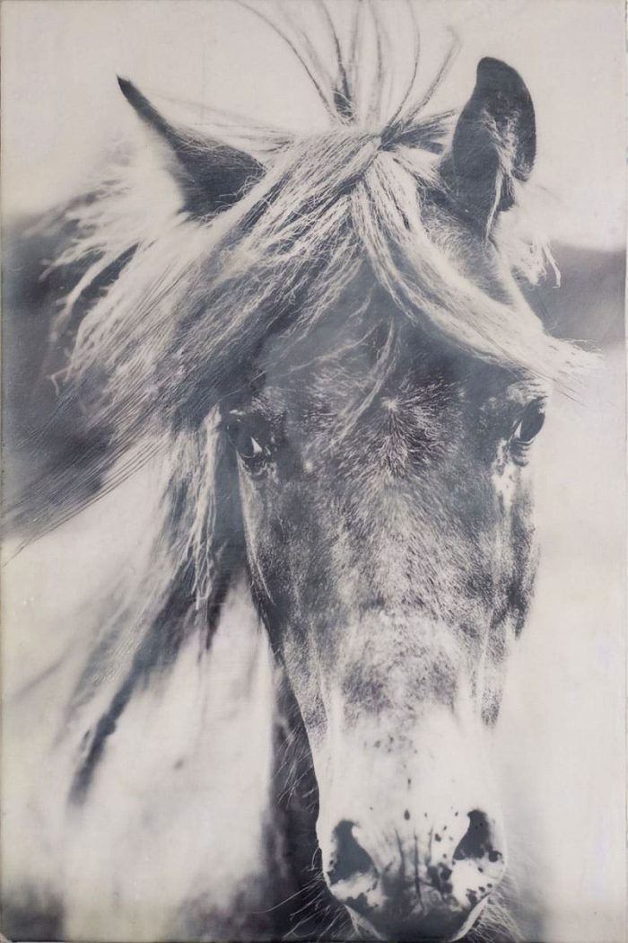 Jen-Badalamenti_Life-with-Horses_Granite