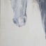 Jen-Badalamenti_Life-with-Horses_Veiled