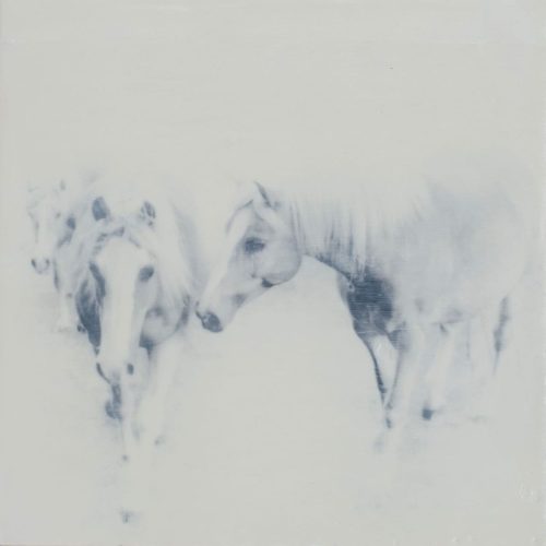 Jen_Badalamenti_Life-with-Horses_Small-Herd