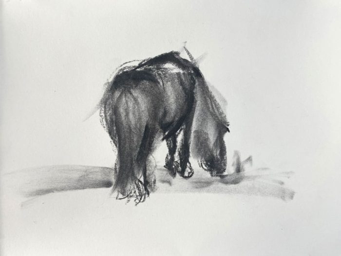 Rachel_White_Grazing_Pony1