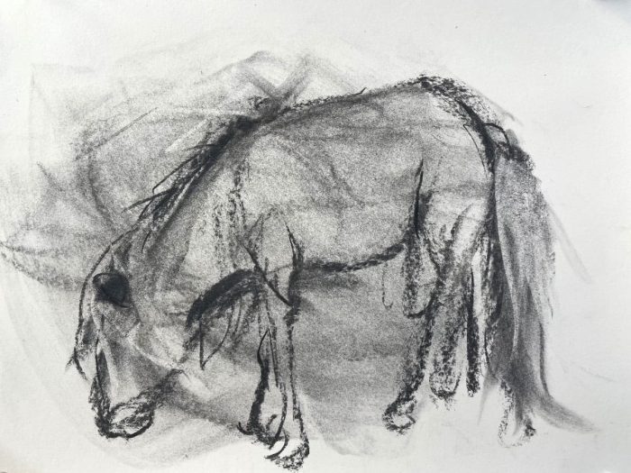 Rachel_White_Grazing_Pony2