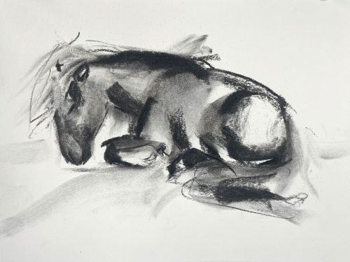 Rachel_White_Sleepy_mini1