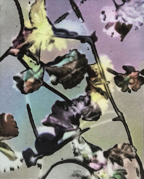 bruce-dunbar-untitled-(flower-2004)