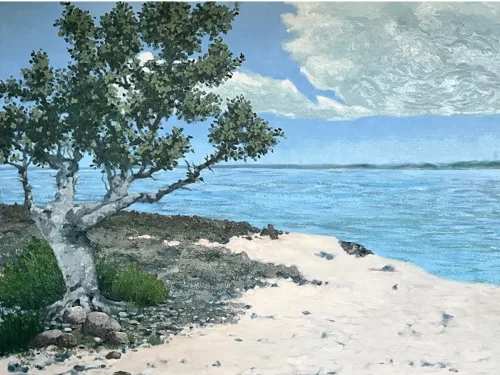 14_John_Plunkett_Landscape_Pigeon_Cay_Little_Exuma_Study_5