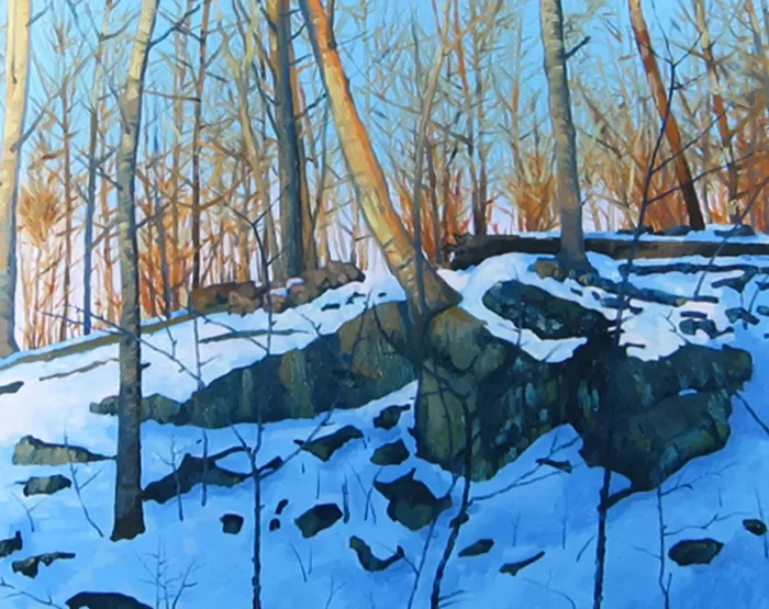 2_John_Plunkett_Landscape_Leonard_Park_Winter_Woods