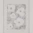 Swann_Flower_Series3_paper_12x9