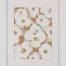 Swann_Flower_Series5_paper_12x9