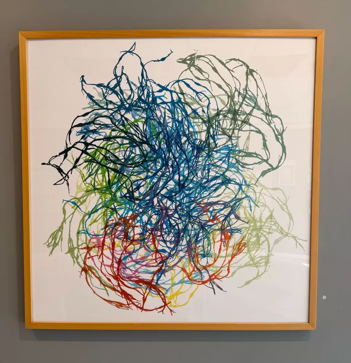 Rainbow Sea - Image 2
