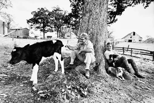 Jill_Freedman_Fang_1