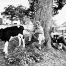 Jill_Freedman_Fang_1
