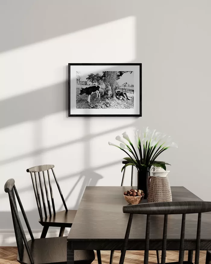 Jill_Freedman_Fang_1-b