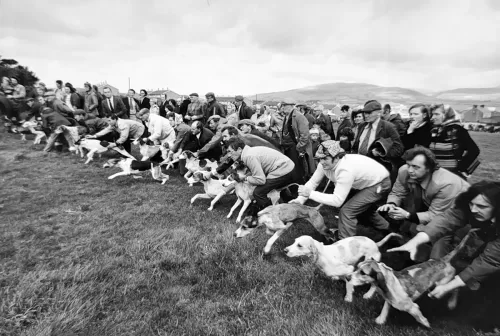 Jill_Freedman_Fang_10