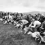 Jill_Freedman_Fang_10