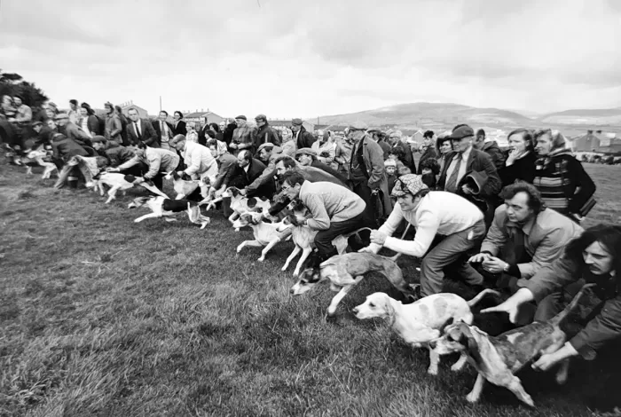 Jill_Freedman_Fang_10