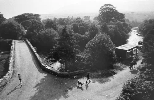 Jill_Freedman_Fang_13