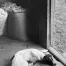 Jill_Freedman_Fang_15