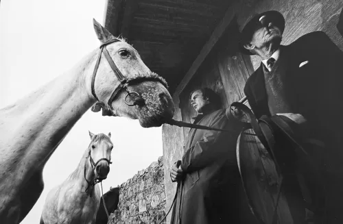 Jill_Freedman_Fang_17