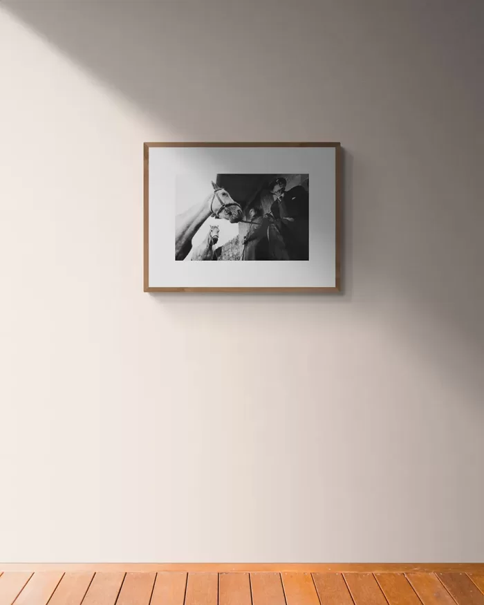 Jill_Freedman_Fang_17-b