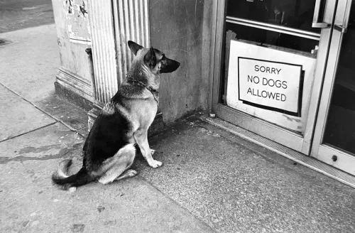 Jill_Freedman_Fang_18