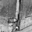 Jill_Freedman_Fang_19