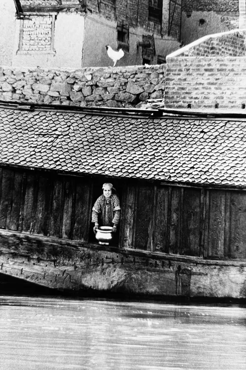 Jill_Freedman_Fang_2