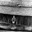 Jill_Freedman_Fang_2