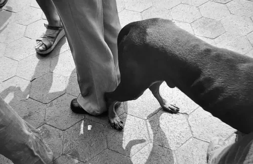 Jill_Freedman_Fang_22