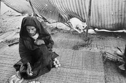 Jill_Freedman_Fang_23