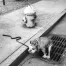 Jill_Freedman_Fang_24