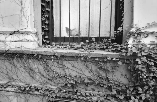 Jill_Freedman_Fang_26