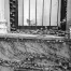 Jill_Freedman_Fang_26