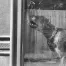 Jill_Freedman_Fang_27