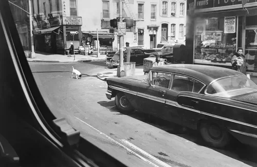 Jill_Freedman_Fang_28