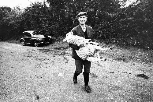 Jill_Freedman_Fang_3
