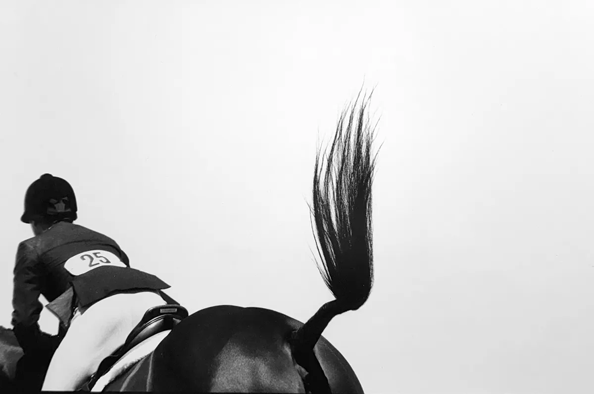 Jill_Freedman_Fang_32