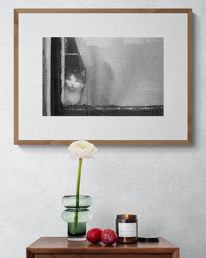 Jill_Freedman_Fang_33-b