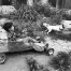 Jill_Freedman_Fang_34