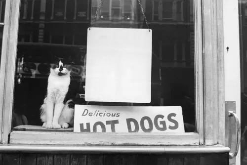 Jill_Freedman_Fang_35