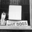 Jill_Freedman_Fang_35