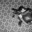 Jill_Freedman_Fang_37