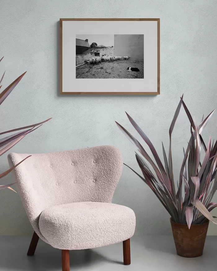 Jill_Freedman_Fang_38-b