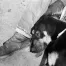 Jill_Freedman_Fang_39