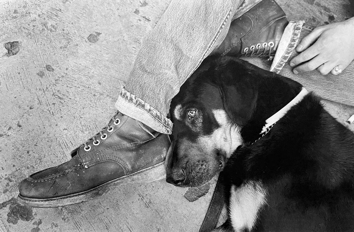 Jill_Freedman_Fang_39