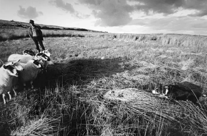 Jill_Freedman_Fang_5